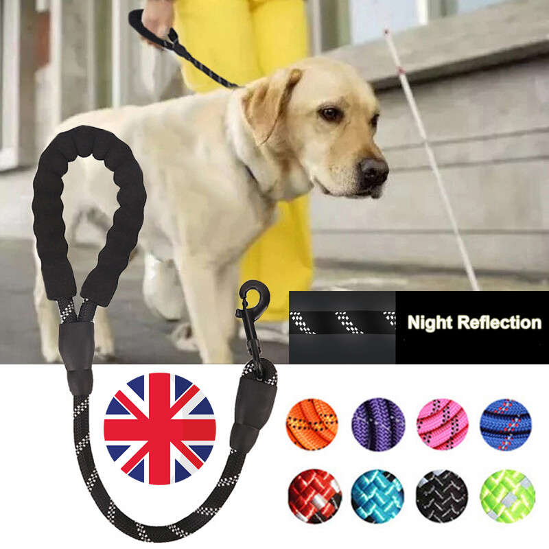 guide dog lead